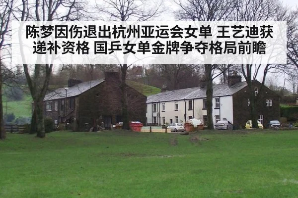 陈梦因伤退出杭州亚运会女单 王艺迪获递补资格 国乒女单金牌争夺格局前瞻