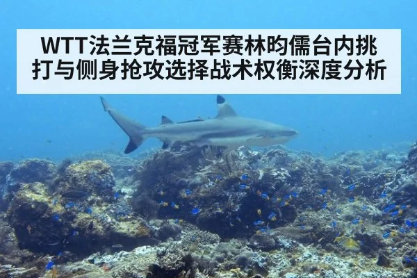 WTT法兰克福冠军赛林昀儒台内挑打与侧身抢攻选择战术权衡深度分析